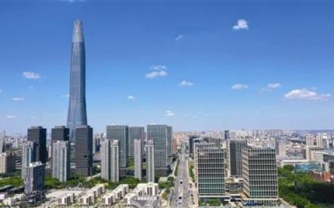 经开区国家数字服务出口基地首次面向全球发布