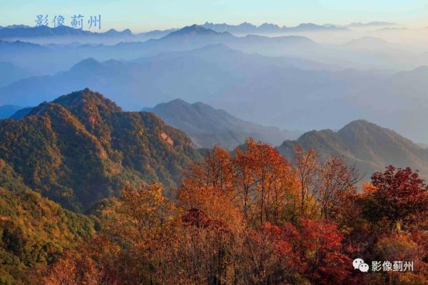 天津最美红叶地图来了！错过等一年！
