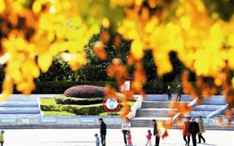 津城金秋美景 吸引市民观赏