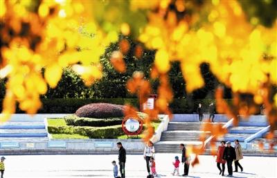 津城金秋美景 吸引市民观赏