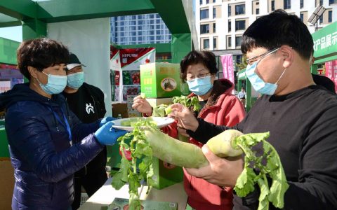 2020年天津国际种业博览会圆满结束