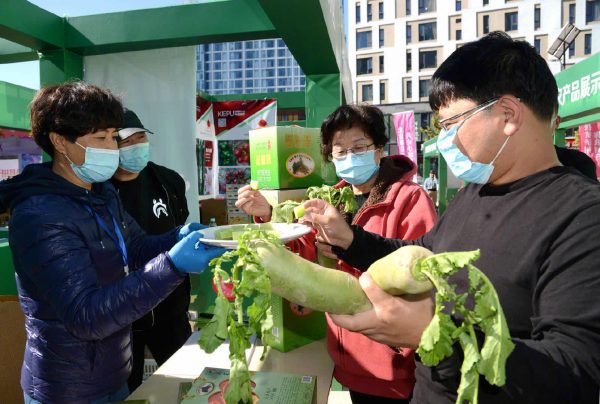 2020年天津国际种业博览会圆满结束