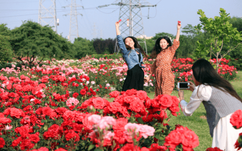 花草看个够，四季美如画！滨海新区这座后花园你打卡了吗