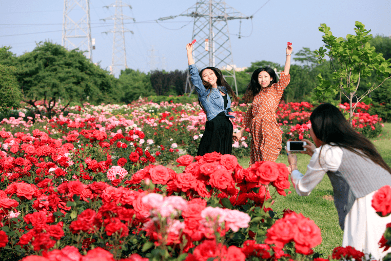 花草看个够，四季美如画！滨海新区这座后花园你打卡了吗