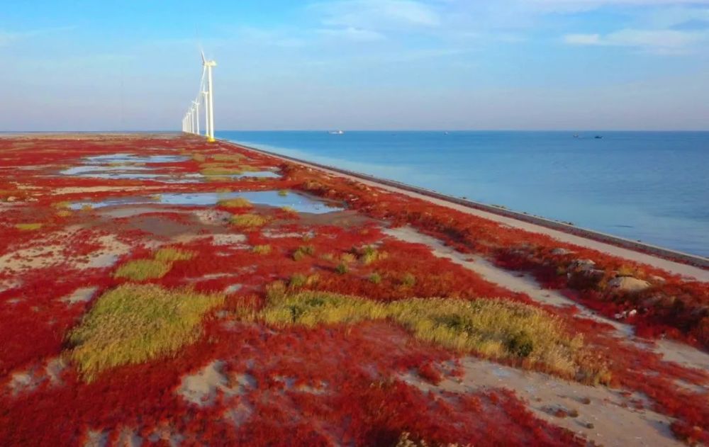 滨海新区惊现红海滩，一半是海水，一半是“火焰”！