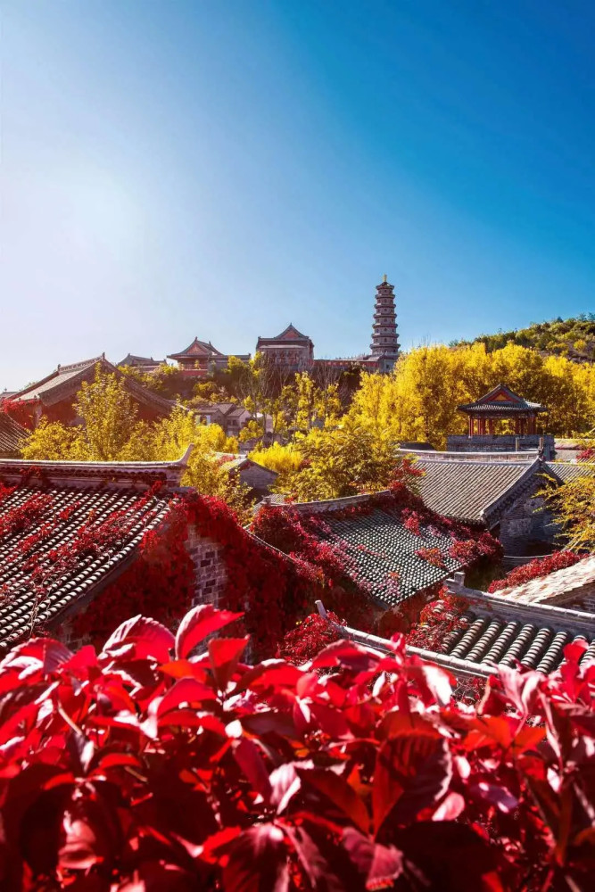 北京“网红铁路”首发站更换，仅需￥12市区直达秋色绝美的红叶小镇！