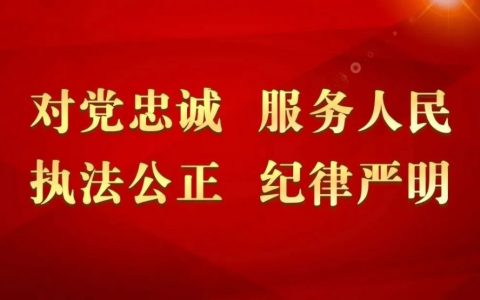 天津最高礼遇 致敬抗疫英雄