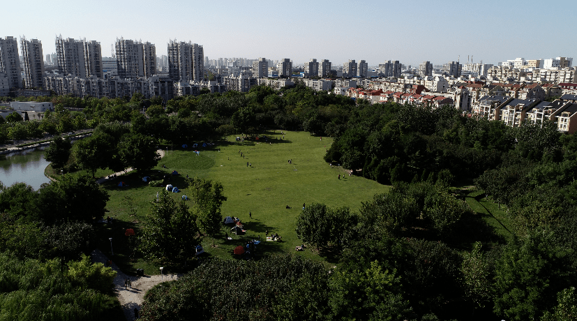 滨海新区赏秋地图出炉！这些秋色美景地，你想先去哪个？