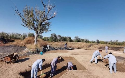 天津考古勘探发现古代墓葬近900处 为运河文化提供实证