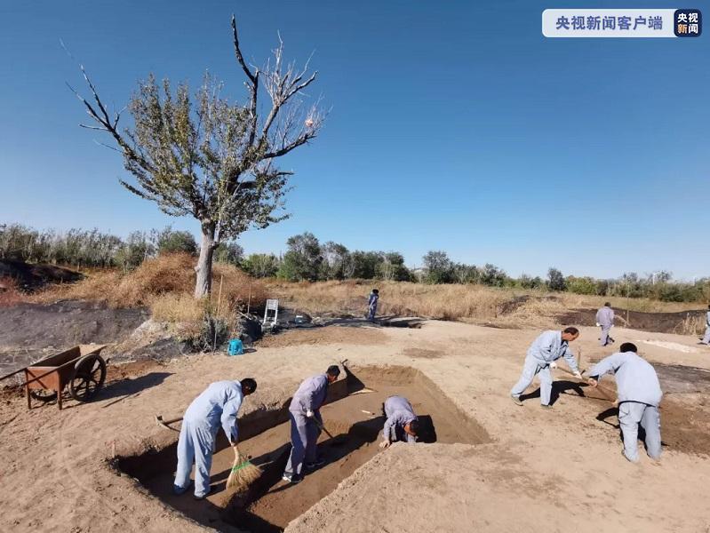 天津考古勘探发现古代墓葬近900处 为运河文化提供实证