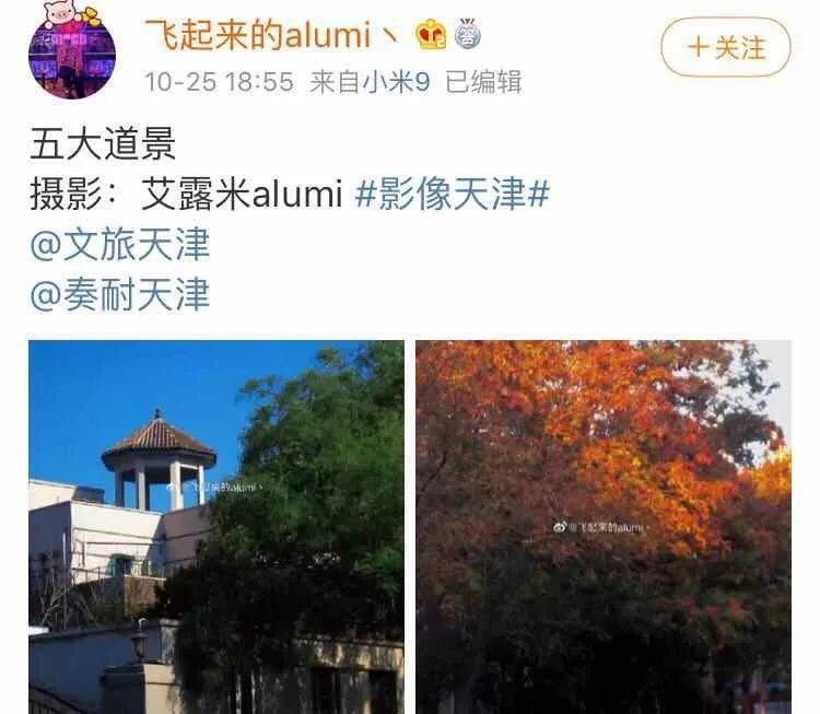 哇！天津的秋到底有多美？网友都这么拍……无与伦比！