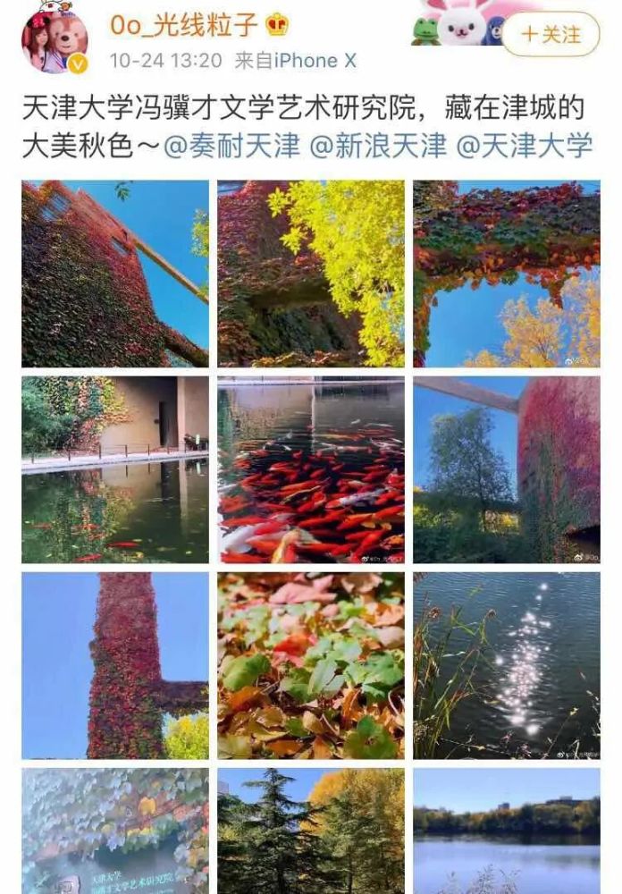 哇！天津的秋到底有多美？网友都这么拍……无与伦比！