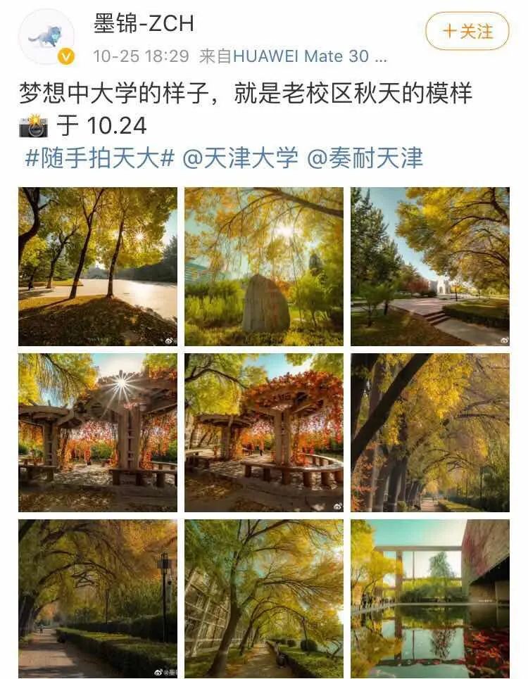 哇！天津的秋到底有多美？网友都这么拍……无与伦比！