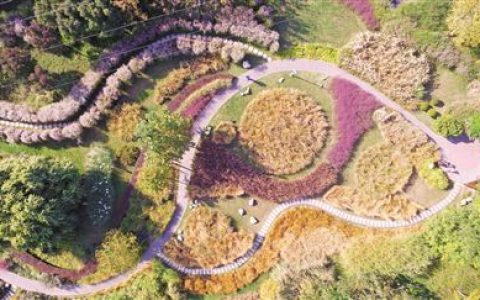 经开区第八大街植物资源库打造“网红”科研基地 盐碱地上浓缩四季美景