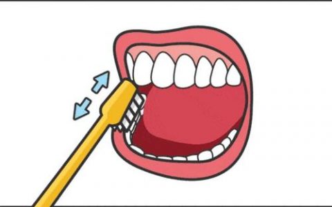 清洁牙齿工具重要还是方法重要？