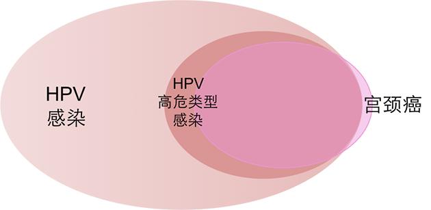 HPV和宫颈癌有何关系 HPV疫苗咋打 干货在这