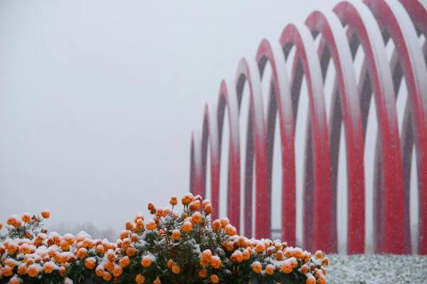 天津初雪来了！还有这些暖心暖胃好消息！