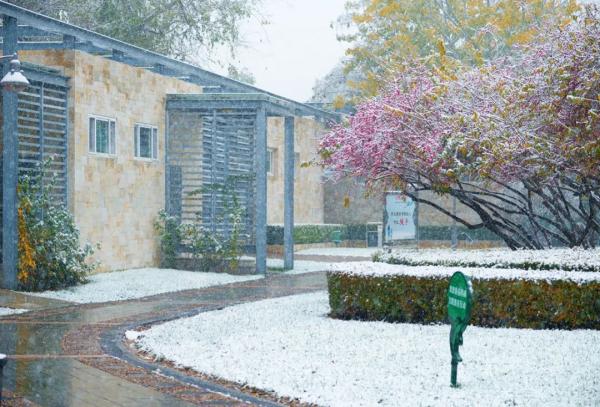 天津初雪来了！还有这些暖心暖胃好消息！