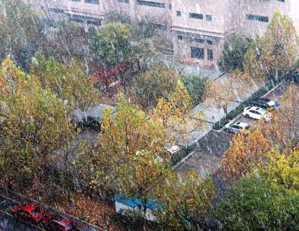 天津初雪来了！还有这些暖心暖胃好消息！