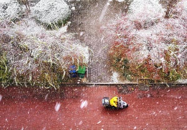 天津初雪来了！还有这些暖心暖胃好消息！