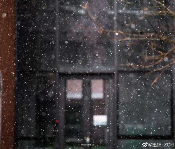 天津初雪来了！还有这些暖心暖胃好消息！