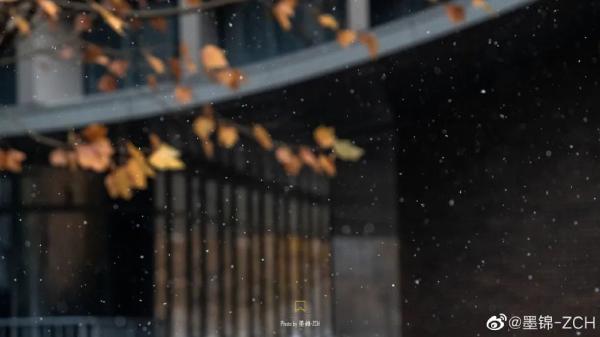 天津初雪来了！还有这些暖心暖胃好消息！