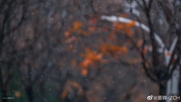 天津初雪来了！还有这些暖心暖胃好消息！