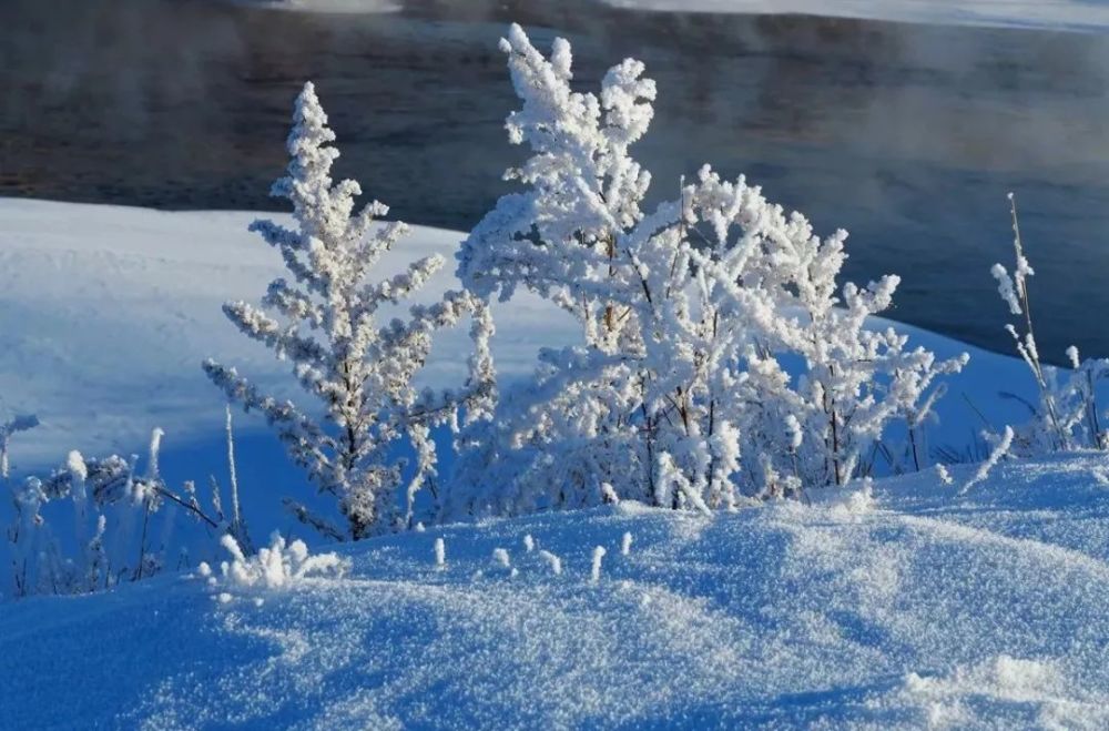 呼伦贝尔，梦幻般的雪国风光