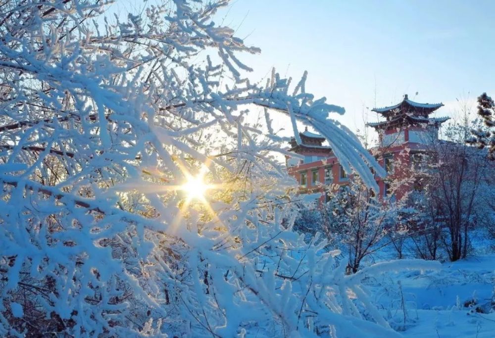 呼伦贝尔，梦幻般的雪国风光