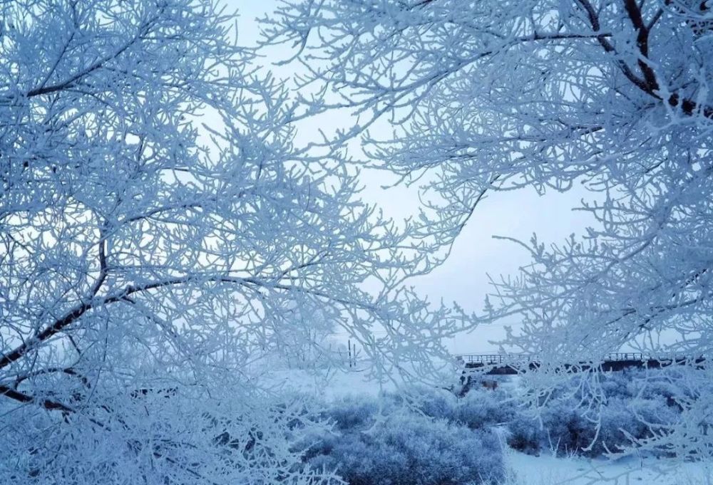 呼伦贝尔，梦幻般的雪国风光