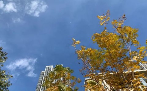 滨海人，新一波冷空气到货！