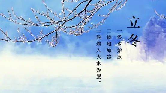 节气｜今天立冬，天津人又吃饺子？