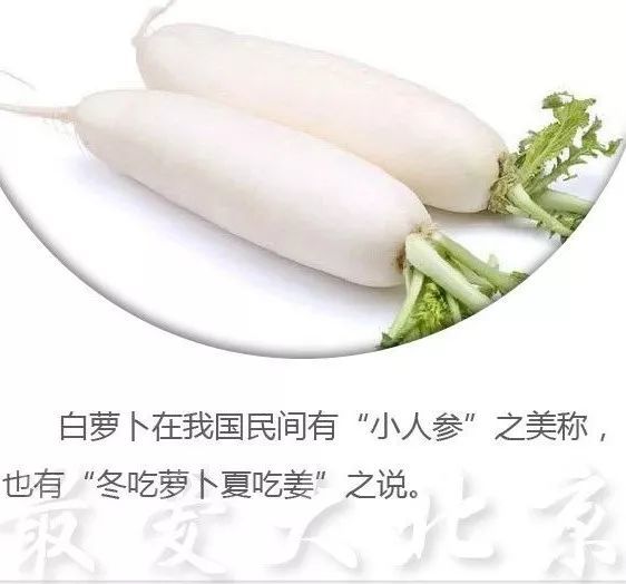 节气｜今天立冬，天津人又吃饺子？