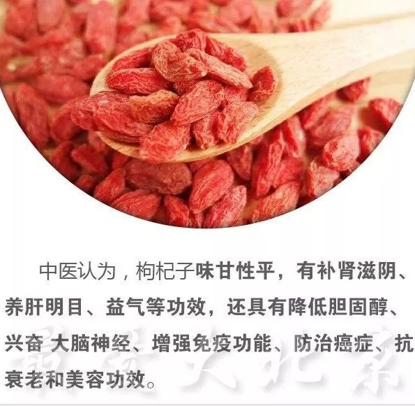 节气｜今天立冬，天津人又吃饺子？