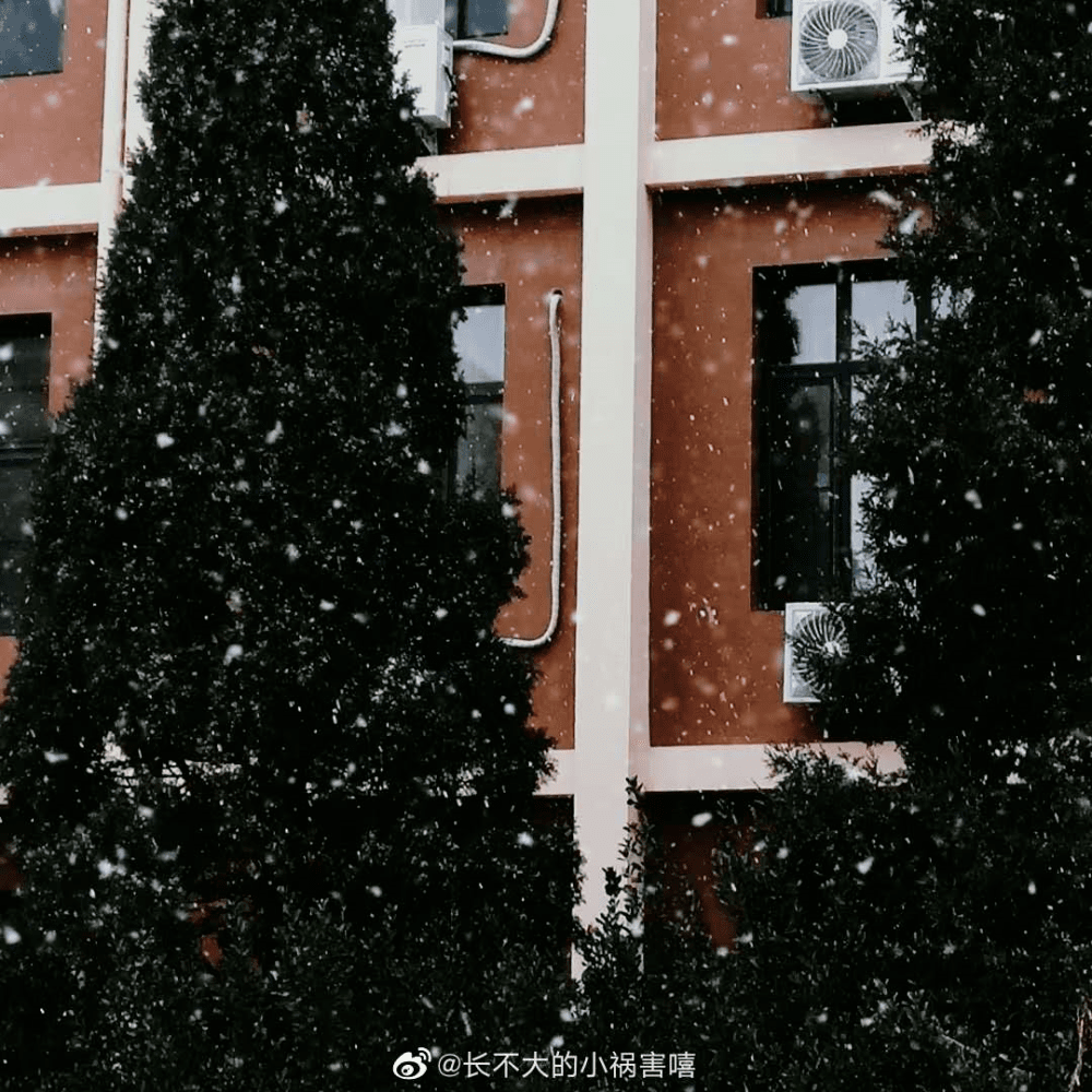 天津迎来今冬初雪！这里暴雪蓝色预警！还有这些事要注意……