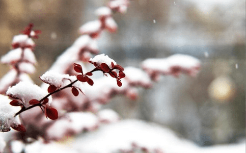 天津迎来今冬初雪！这里暴雪蓝色预警！还有这些事要注意……