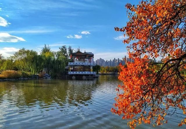 天津的秋天到底有多美，我带你去看！