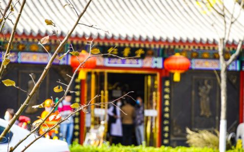 街拍秋天的北京街头，秋意来临时的生活