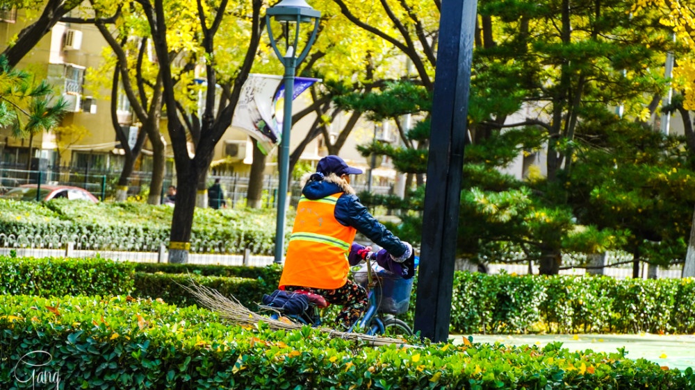 街拍秋天的北京街头，秋意来临时的生活