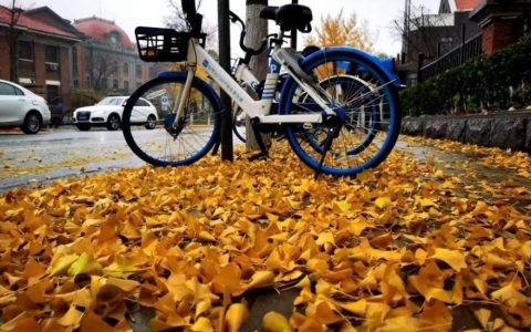 入冬最强雨雪开下！哪最大？啥时停？天津这些地方积水！