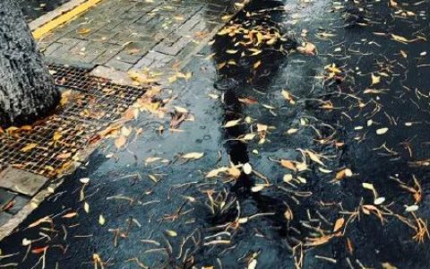天津：降雨后伴随大风降温 市民外出 注意防寒保暖