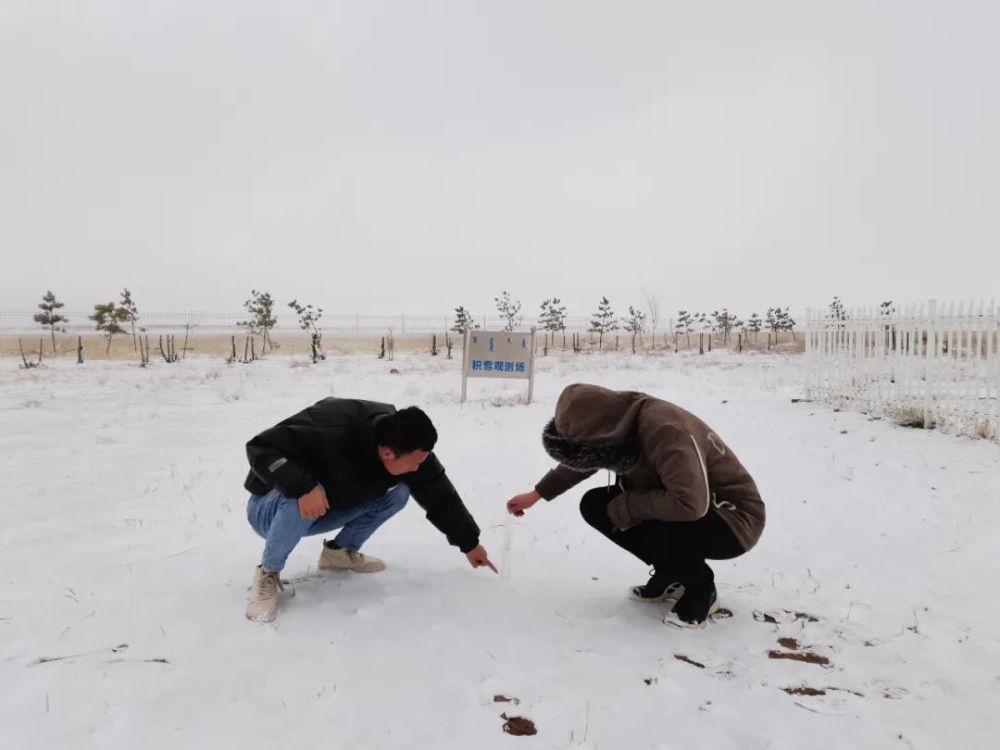 入冬最强雨雪开下！哪最大？啥时停？天津这些地方积水！