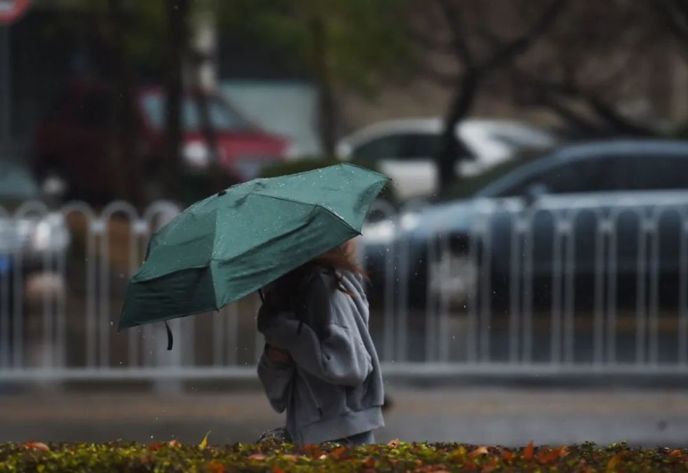 这场雨啥时停？晚高峰受影响吗？明天滨海新区最低气温将跌至……