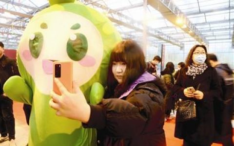 沙窝萝卜“开拔” “来福”邀你来尝“赛鸭梨”