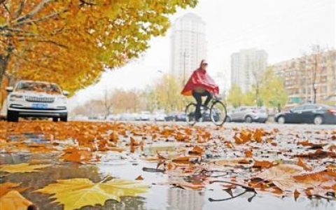 天津首场冬雨 悄然而至