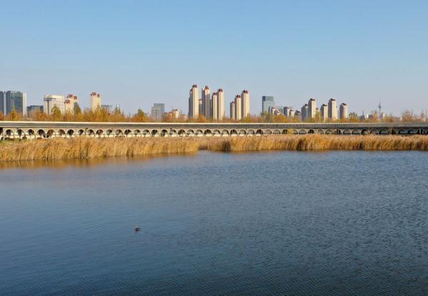 天津水西公园：为城市增添生态之美