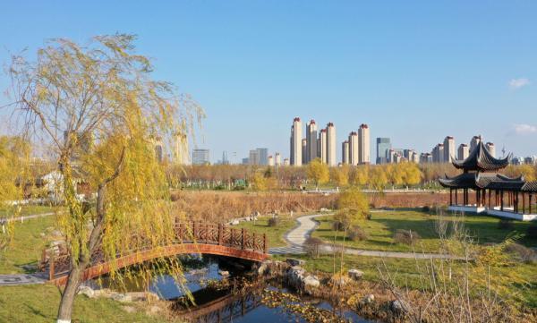 天津水西公园：为城市增添生态之美