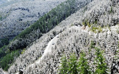 22日4时40分“小雪”：寒风日劲，菊萎东篱