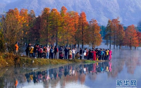 安徽黄山：奇墅湖晨景似仙境