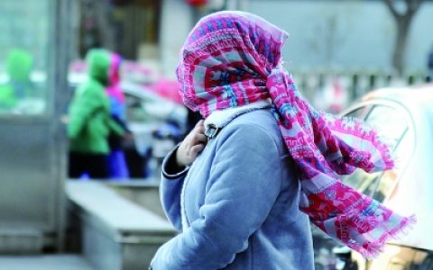 津城今有7级阵风最高气温14℃